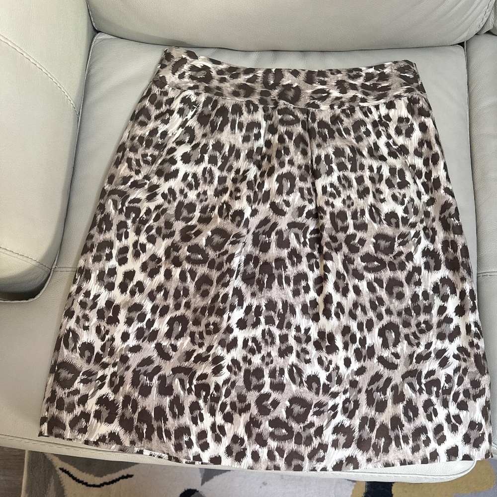 Banana Republic Skirt